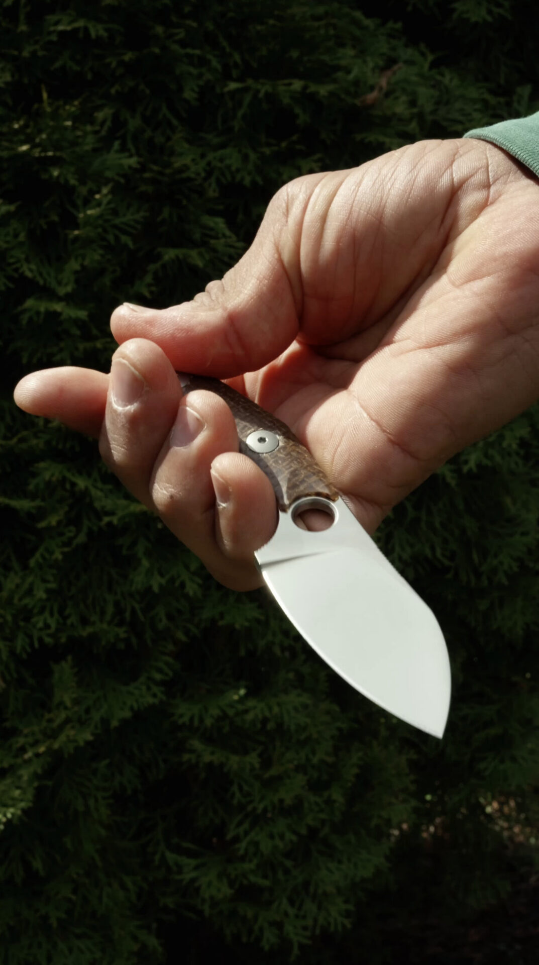 A hand holds a small folding knife from GiantMouse Knives, its shiny, partially open blade with a hole near the base set against a backdrop of green foliage.
